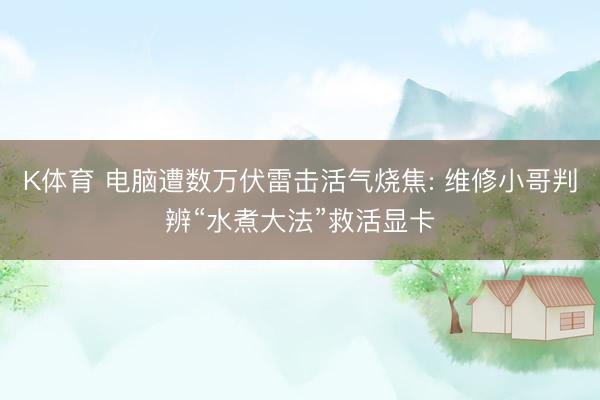 K体育 电脑遭数万伏雷击活气烧焦: 维修小哥判辨“水煮大法”救活显卡