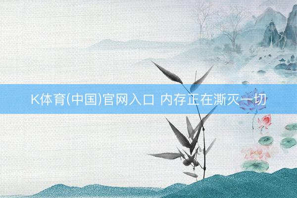 K体育(中国)官网入口 内存正在澌灭一切