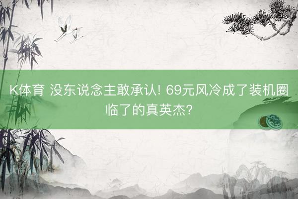 K体育 没东说念主敢承认! 69元风冷成了装机圈临了的真英杰?