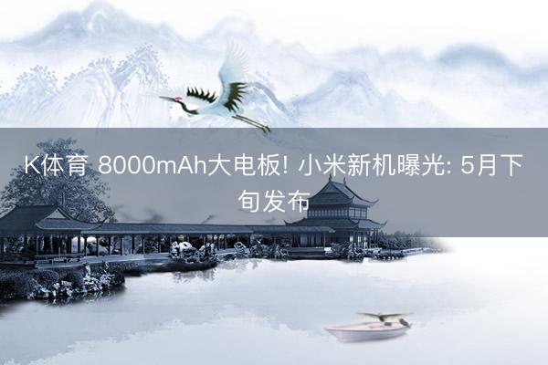 K体育 8000mAh大电板! 小米新机曝光: 5月下旬发布