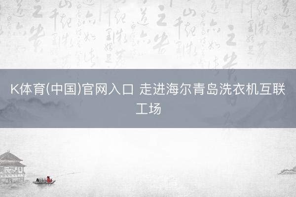 K体育(中国)官网入口 走进海尔青岛洗衣机互联工场