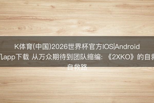 K体育(中国)2026世界杯官方IOS|Android手机app下载 从万众期待到团队缩编: 《2XKO》的自救路