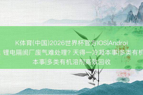 K体育(中国)2026世界杯官方IOS|Android手机app下载 锂电隔阂厂废气难处理? 天得一冷凝本事|多类有机溶剂高效回收