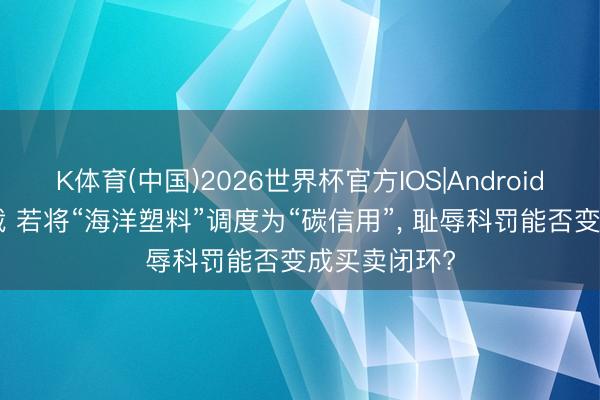 K体育(中国)2026世界杯官方IOS|Android手机app下载 若将“海洋塑料”调度为“碳信用”， 耻辱科罚能否变成买卖闭环?