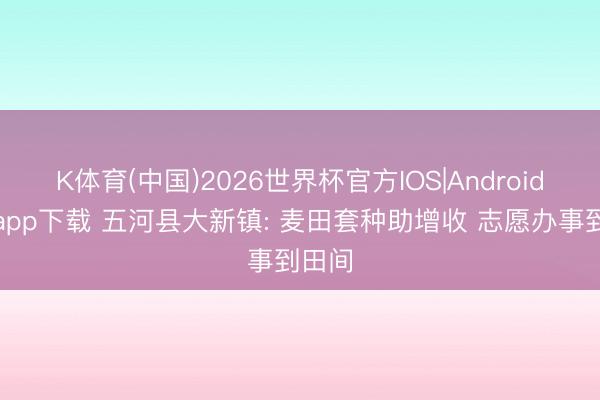 K体育(中国)2026世界杯官方IOS|Android手机app下载 五河县大新镇: 麦田套种助增收 志愿办事到田间