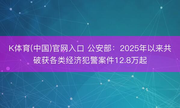 K体育(中国)官网入口 公安部:2025年以来共破获各类经济犯警案件12.8万起