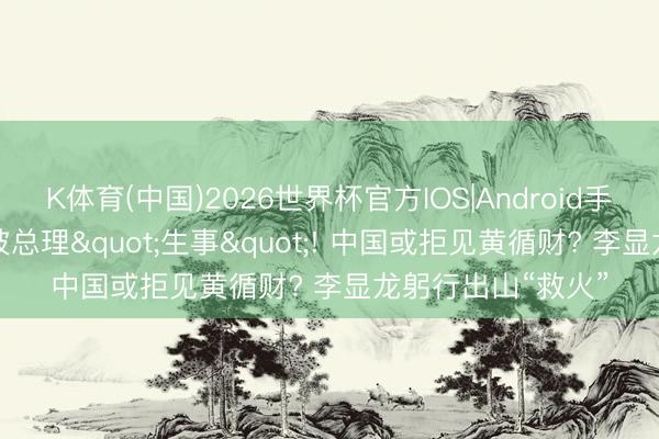 K体育(中国)2026世界杯官方IOS|Android手机a